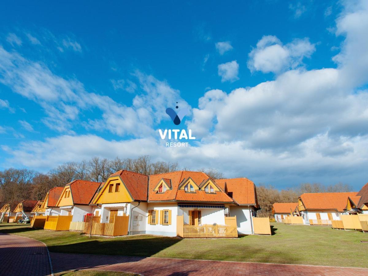 Apartment Prekmurska Vas - Vital
